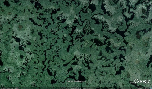Everglades-Overlay-590x346.jpg