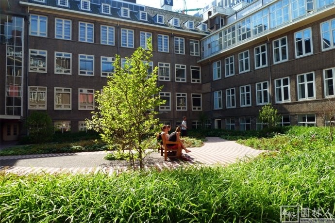 荷兰阿姆斯特丹大学Roeterseiland校园景观设