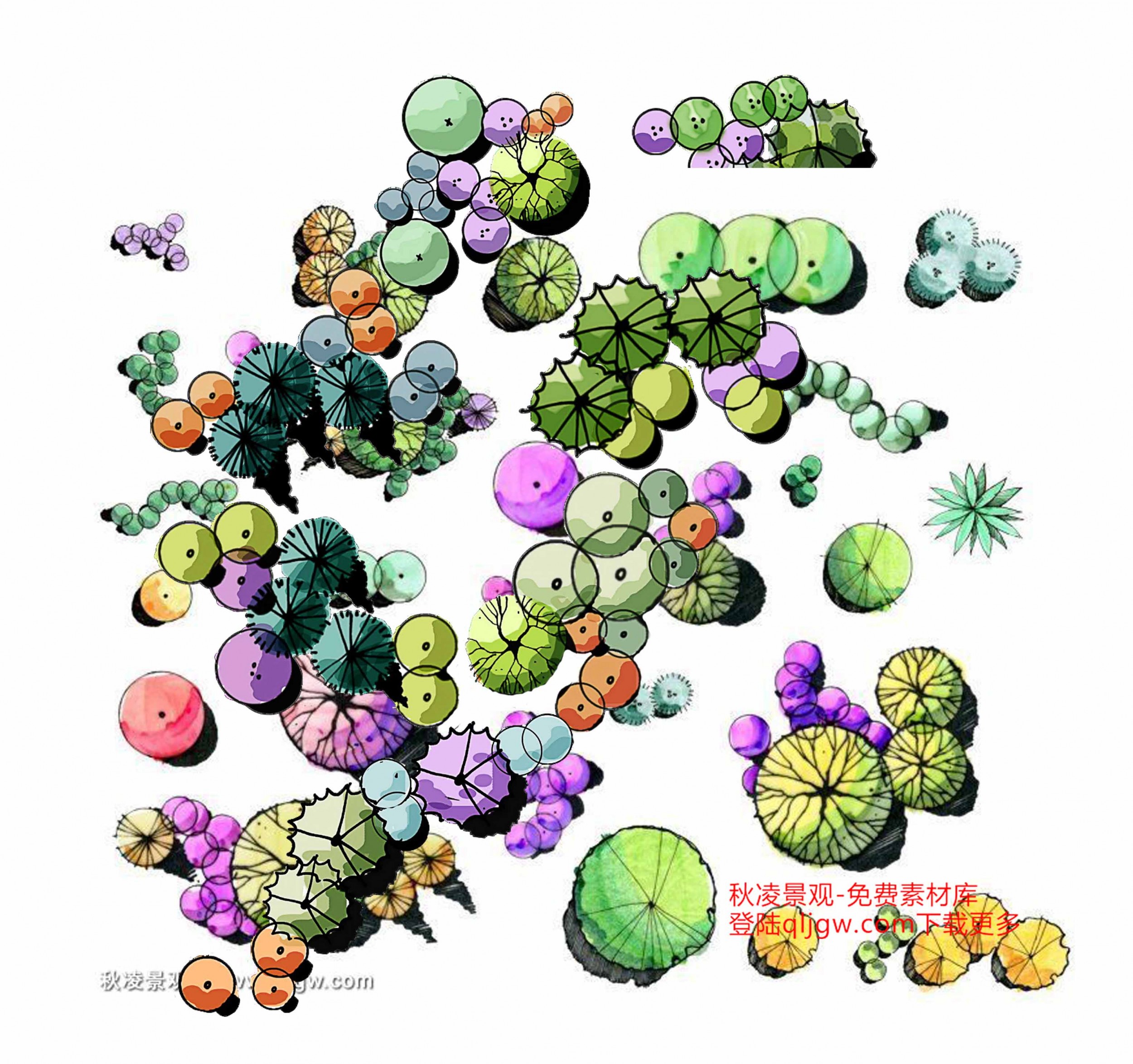 【免费资料】景观设计常用手绘平面植物 PSD