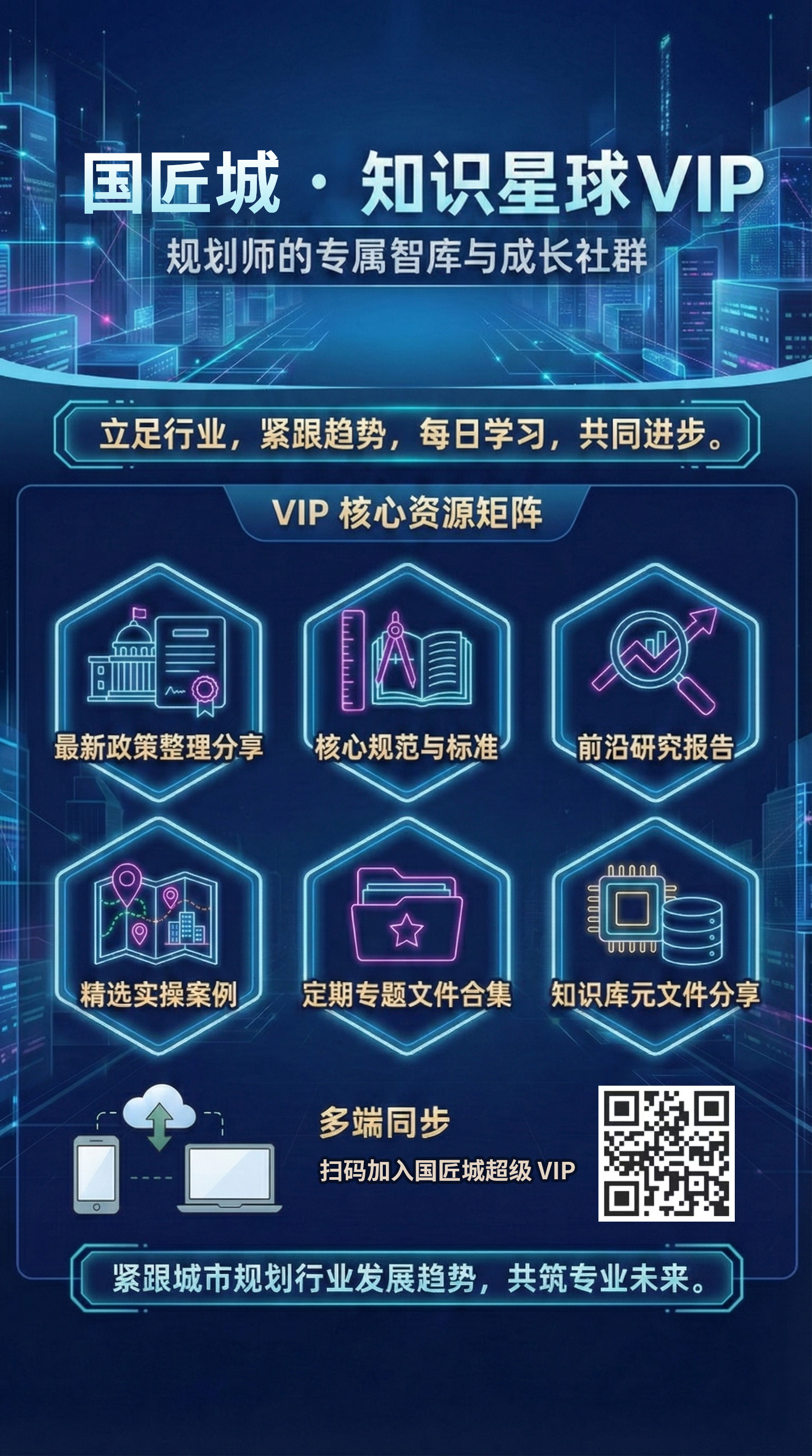 当前VIP介绍