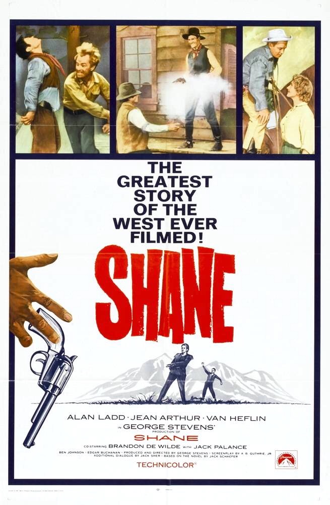 Shane-20191224